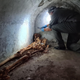 The skeleton as it was found inside the tomb.